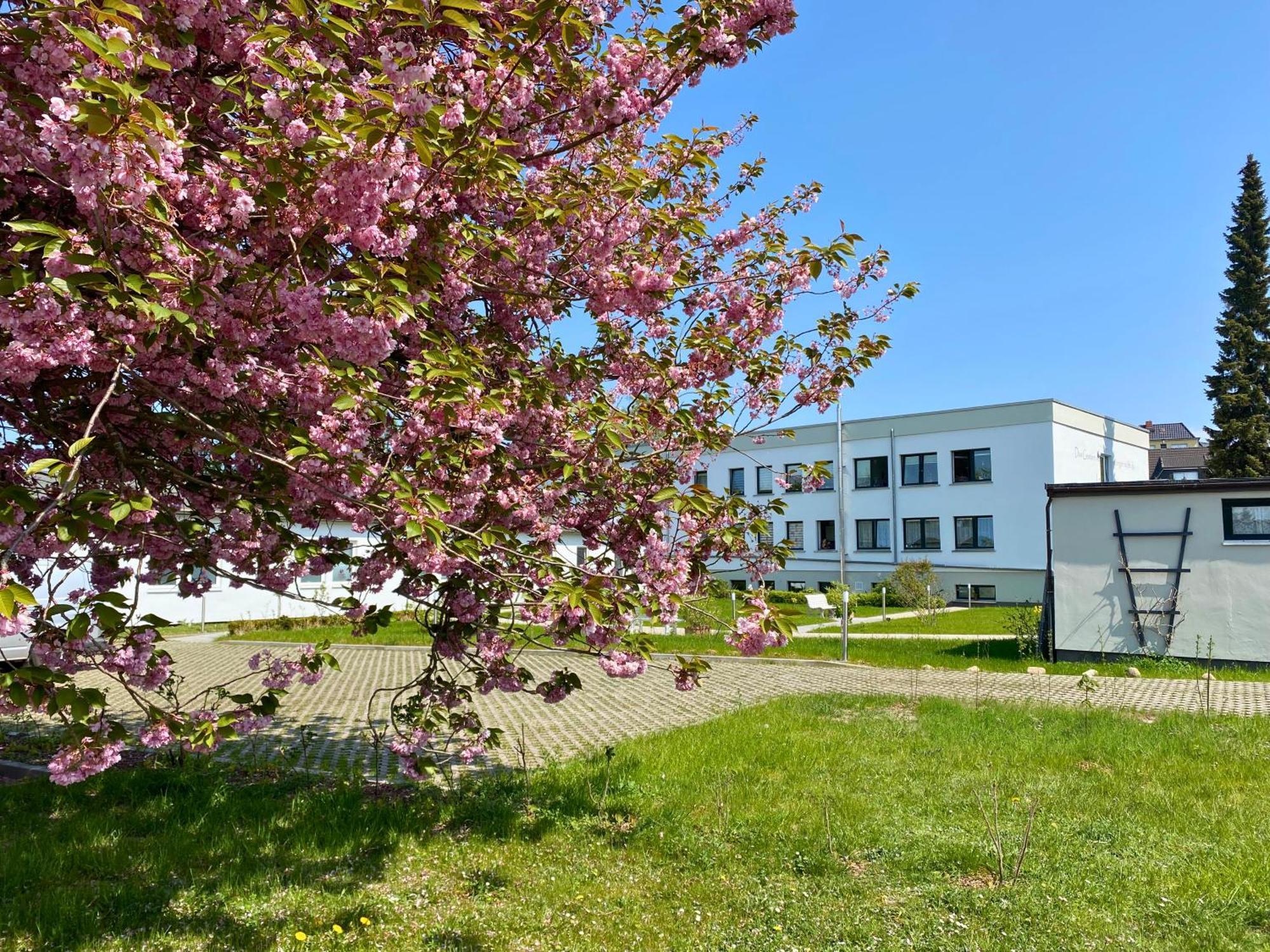 Apartment Ferientiet Bergen Auf Rugen Exteriér fotografie